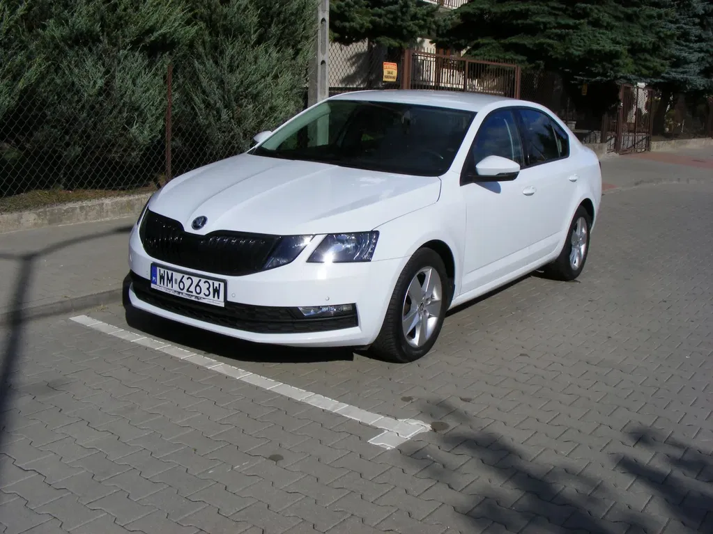 Zdjęcie: 2019 Skoda Octavia