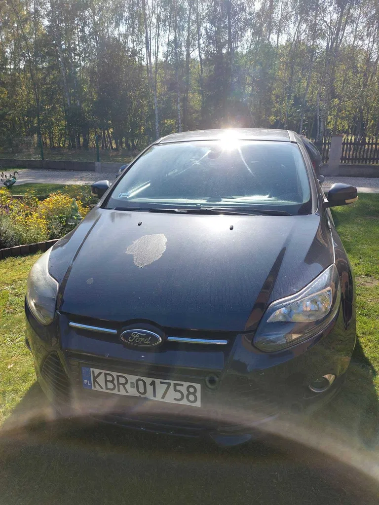 Zdjęcie: 2011 Ford Focus
