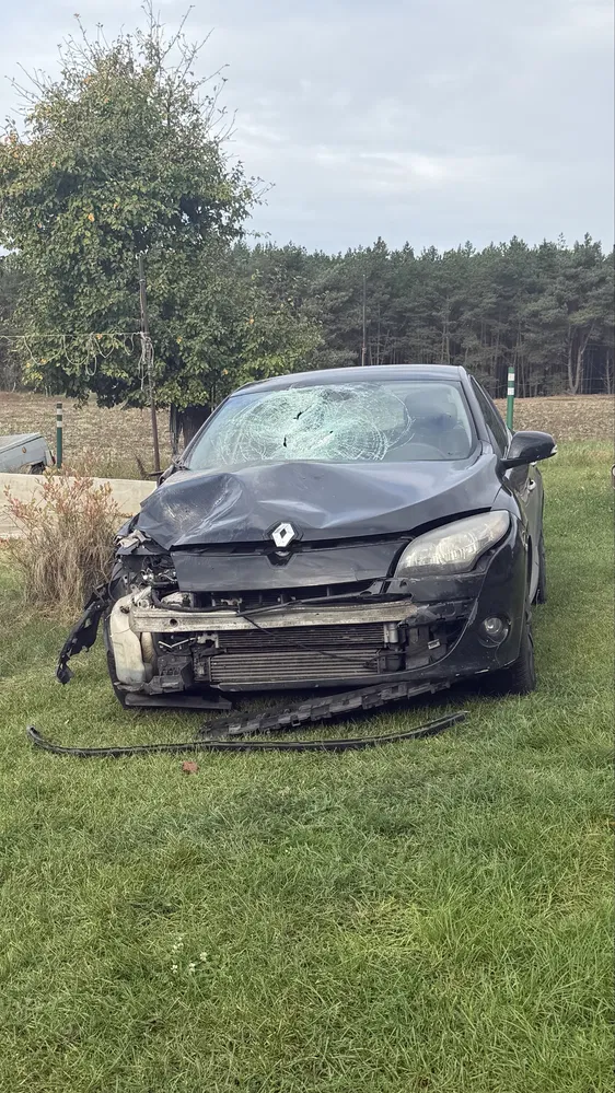 Zdjęcie: 2012 Renault Megane