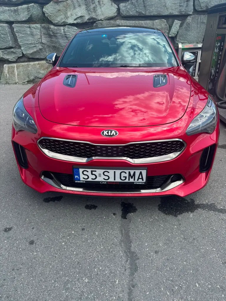 Zdjęcie: 2017 Kia Stinger