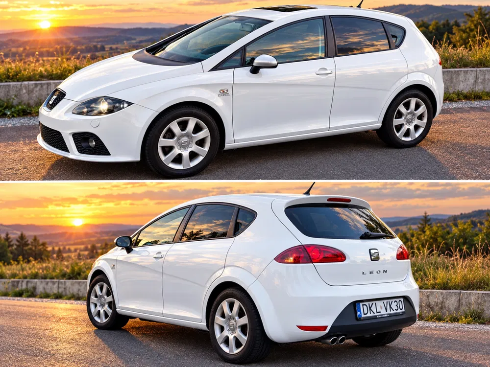 Zdjęcie: 2008 Seat Leon