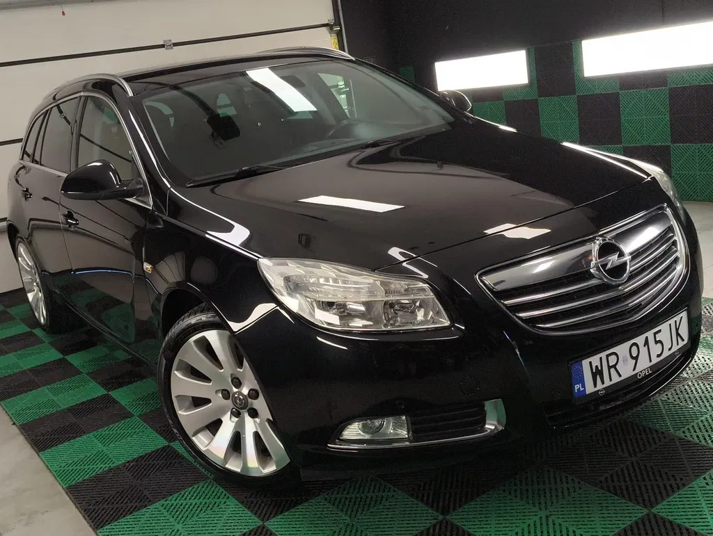 Zdjęcie: 2010 Opel Insignia