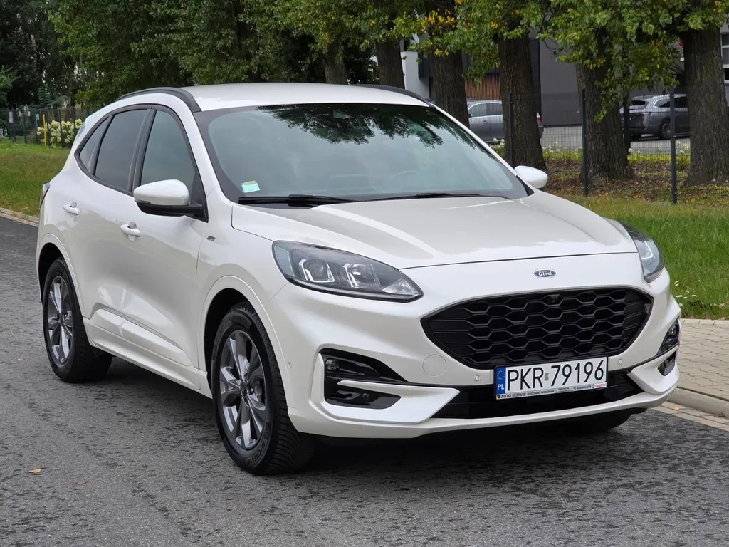 Zdjęcie: 2021 Ford Kuga