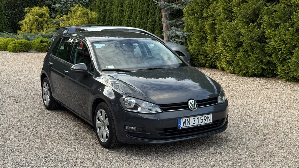 Zdjęcie: 2016 Volkswagen Golf