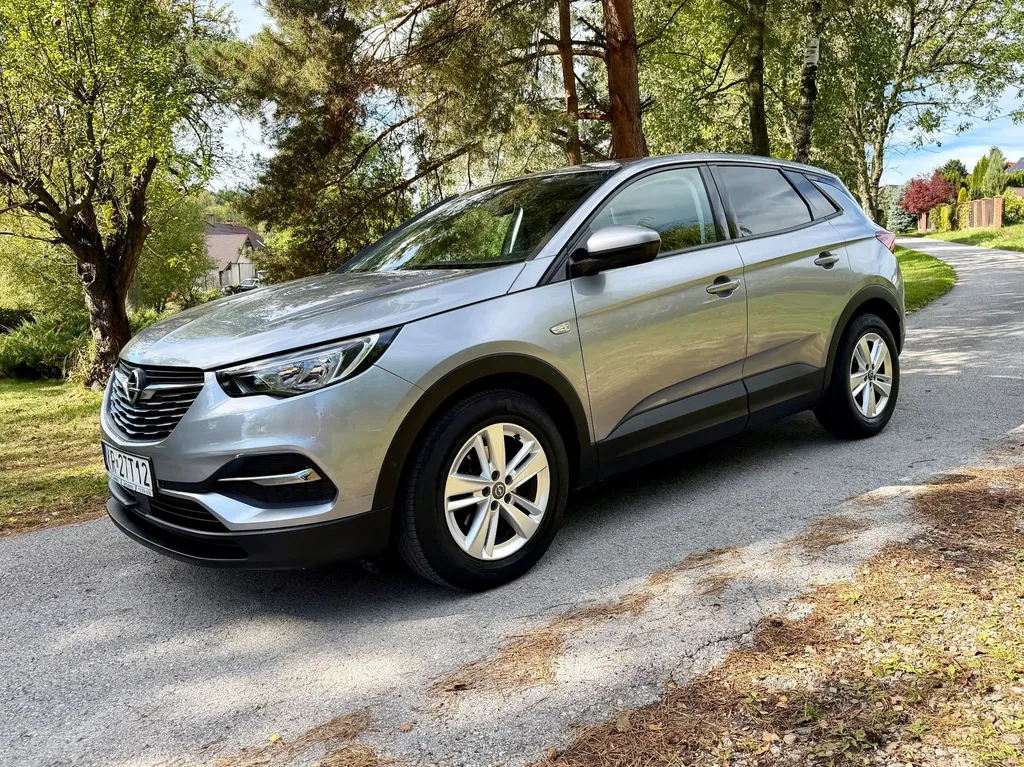 Zdjęcie: 2020 Opel Grandland X