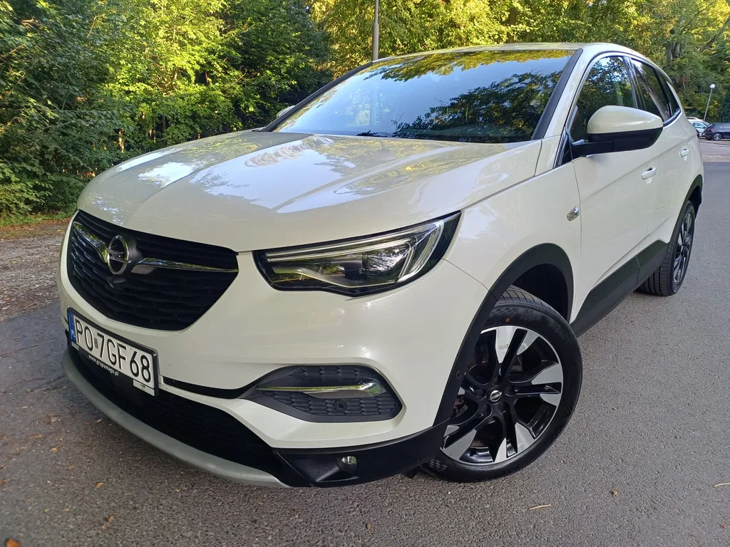 Zdjęcie: 2018 Opel Grandland X