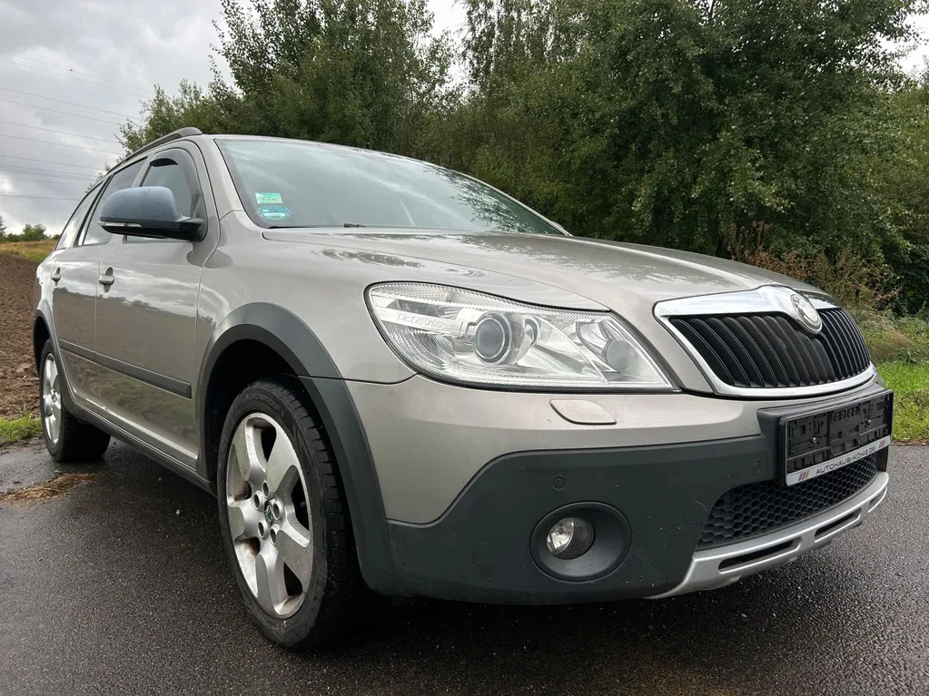 Zdjęcie: 2009 Skoda Octavia