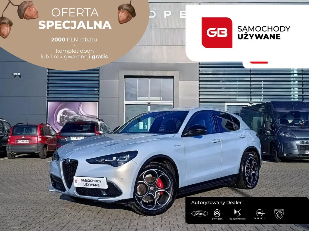 Zdjęcie: 2024 Alfa Romeo Stelvio