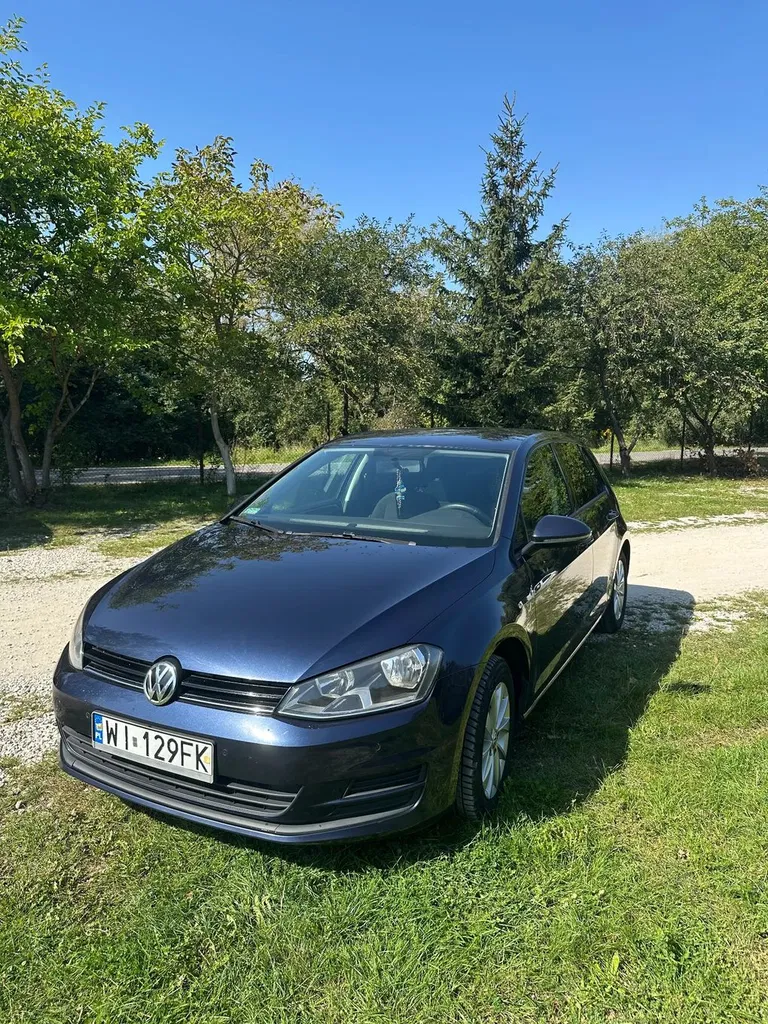 Zdjęcie: 2016 Volkswagen Golf