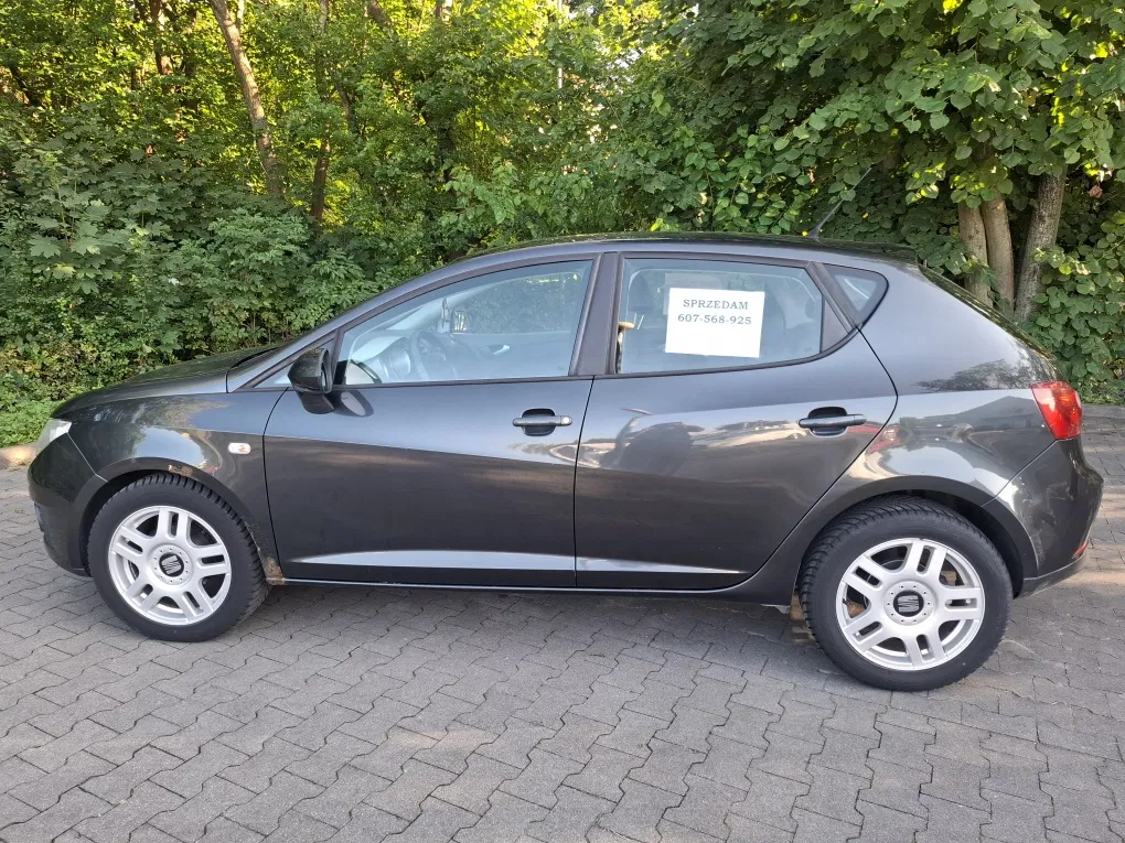 Zdjęcie: 2009 Seat Ibiza