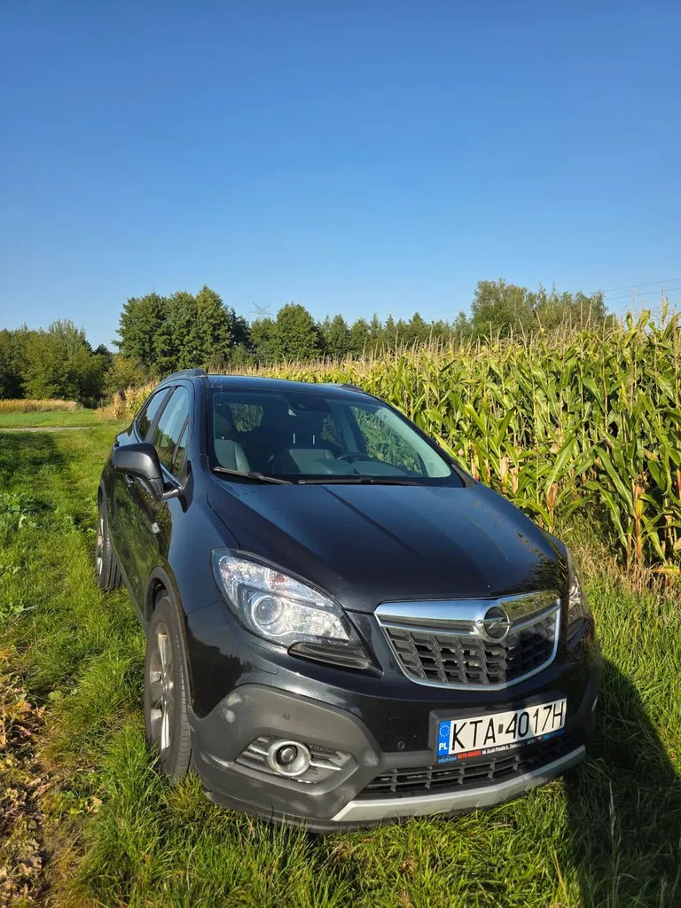 Zdjęcie: 2012 Opel Mokka