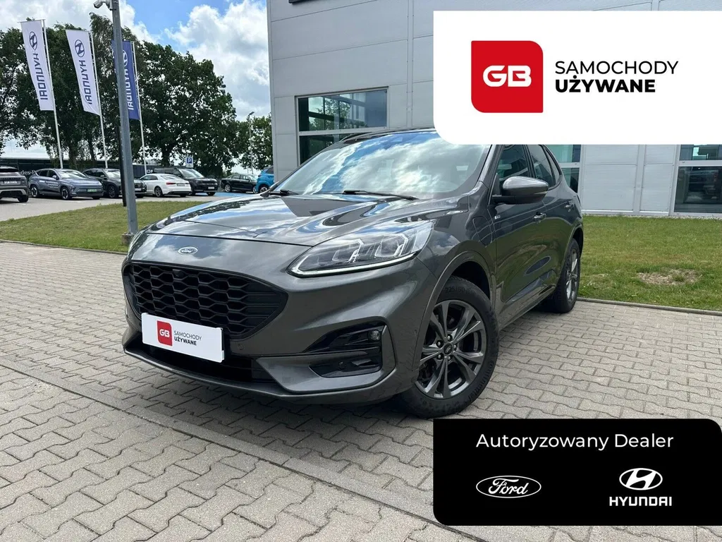 Zdjęcie: 2021 Ford Kuga