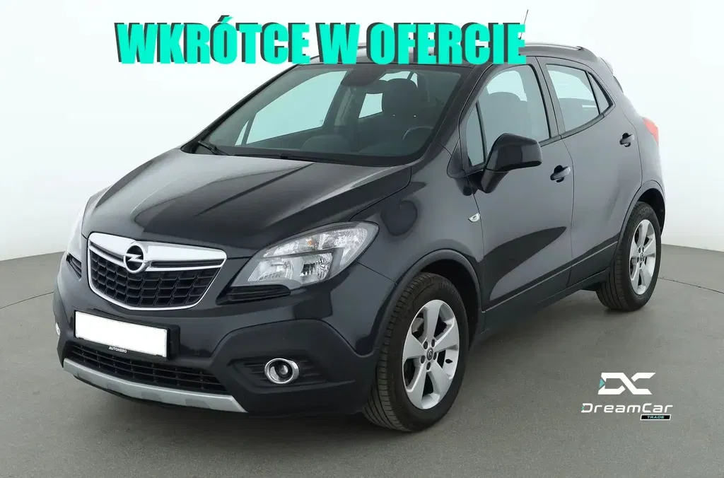 Zdjęcie: 2014 Opel Mokka