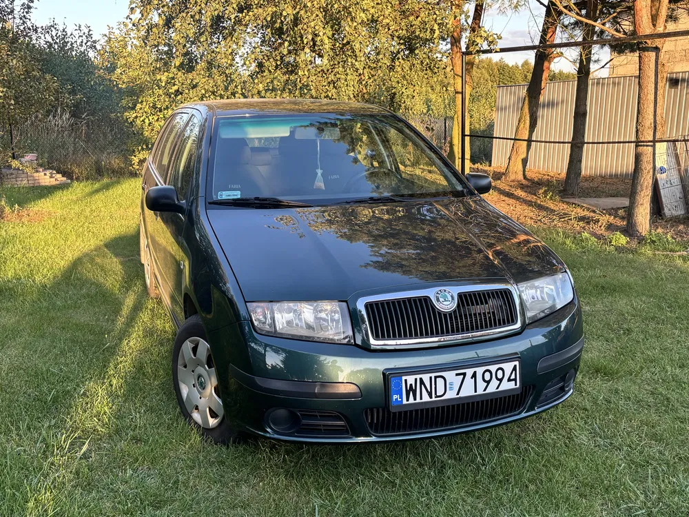 Zdjęcie: 2007 Skoda Fabia