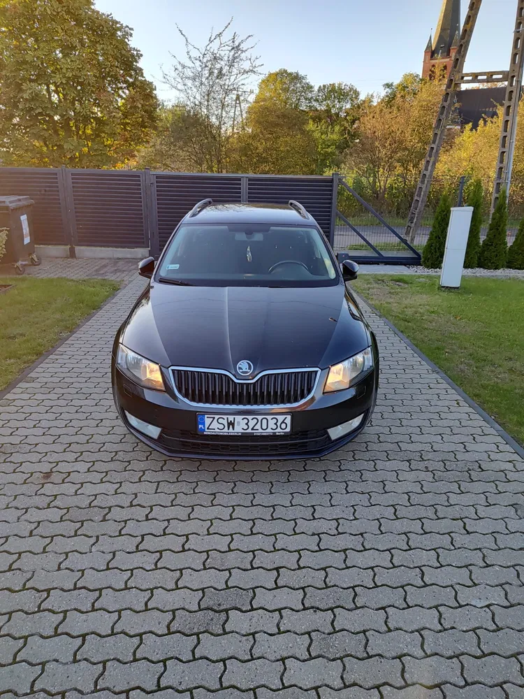 Zdjęcie: 2014 Skoda Octavia