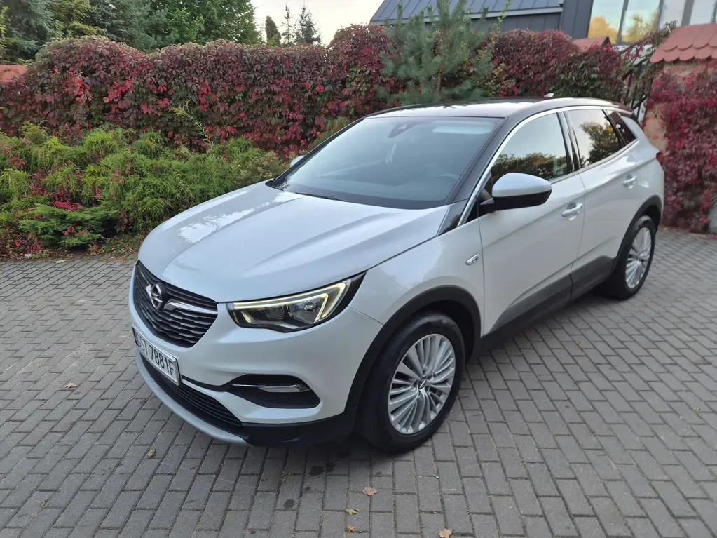 Zdjęcie: 2018 Opel Grandland X