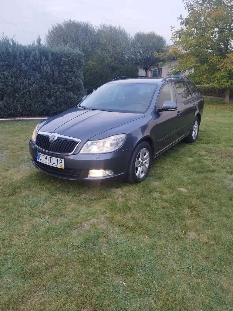 Zdjęcie: 2010 Skoda Octavia