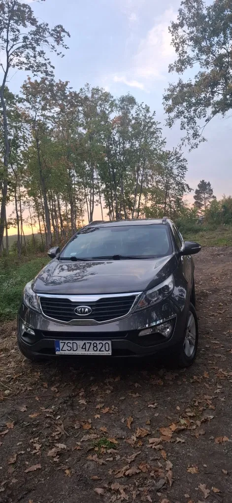 Zdjęcie: 2012 Kia Sportage