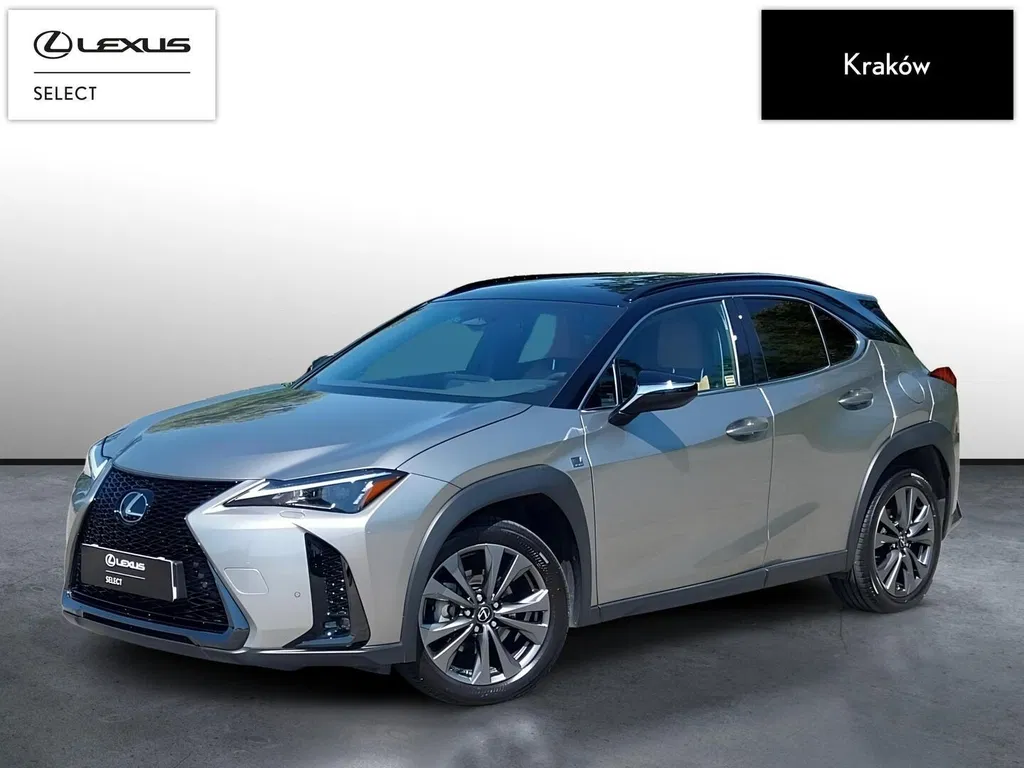Zdjęcie: 2024 Lexus UX