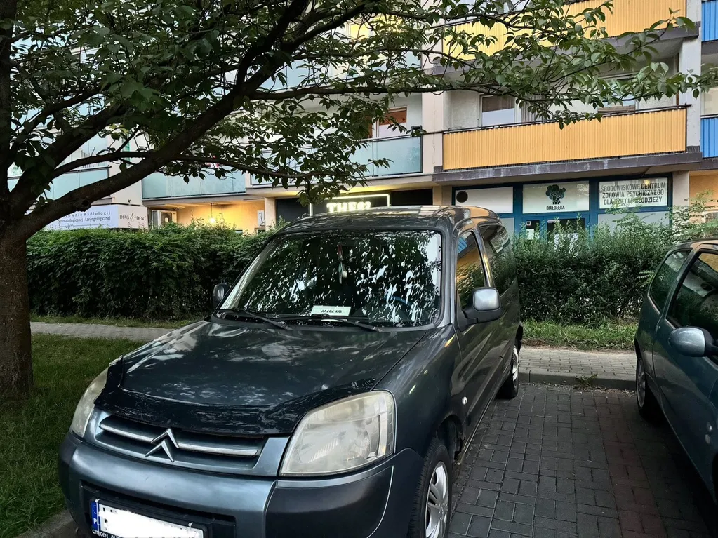 Zdjęcie: 2007 Citroen Berlingo