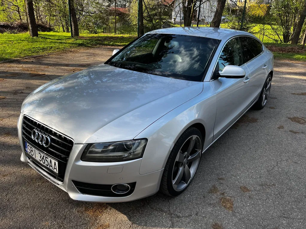 Zdjęcie: 2010 Audi A5 Sportback
