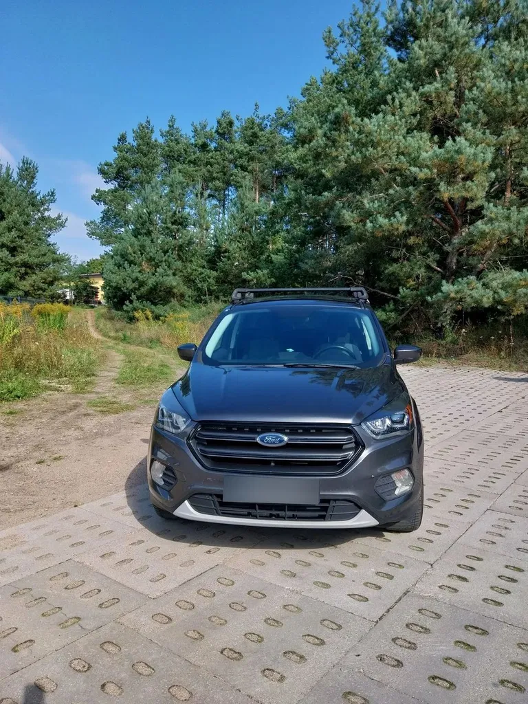 Zdjęcie: 2019 Ford Escape