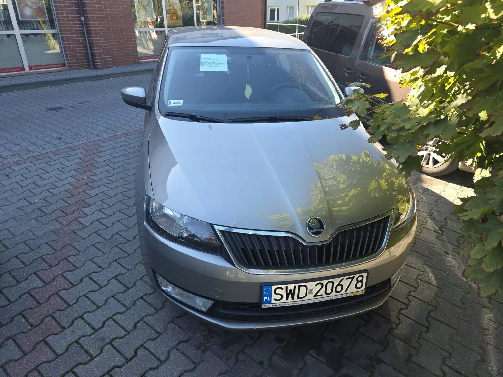 Zdjęcie: 2014 Skoda RAPID