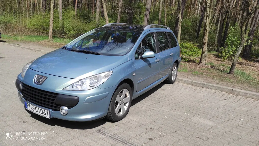 Zdjęcie: 2006 Peugeot 307