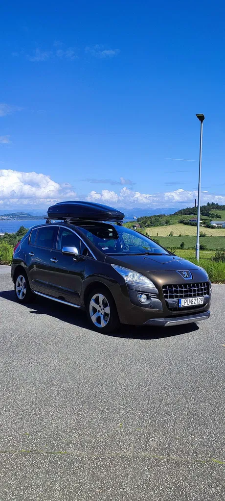 Zdjęcie: 2010 Peugeot 3008