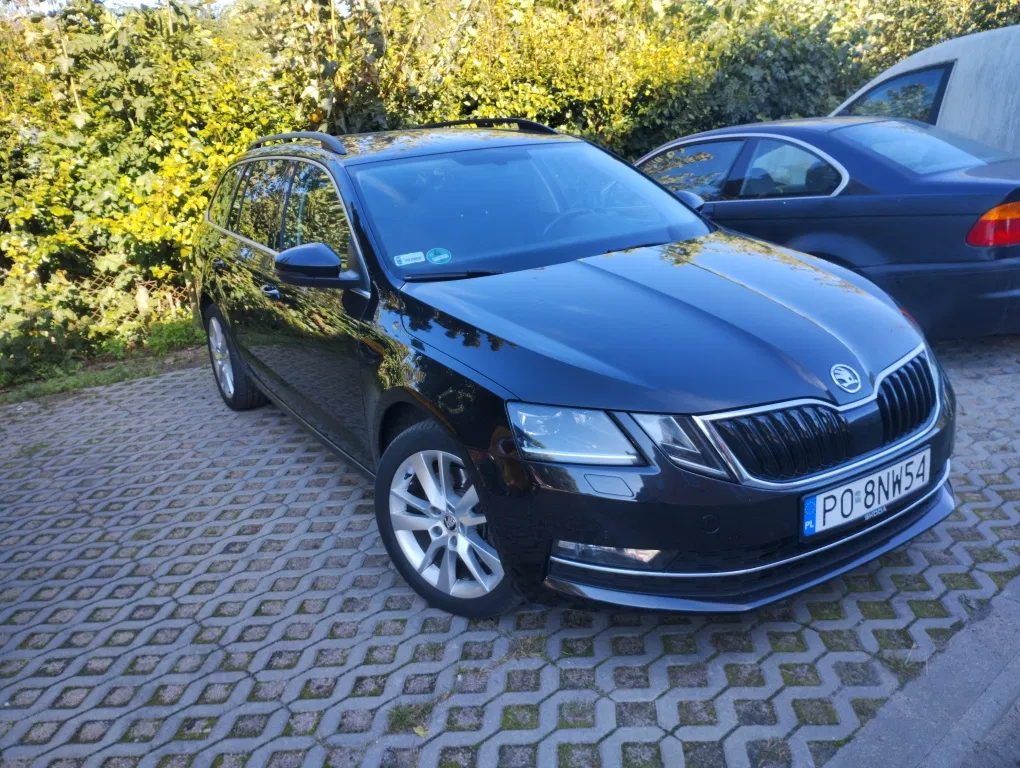 Zdjęcie: 2020 Skoda Octavia