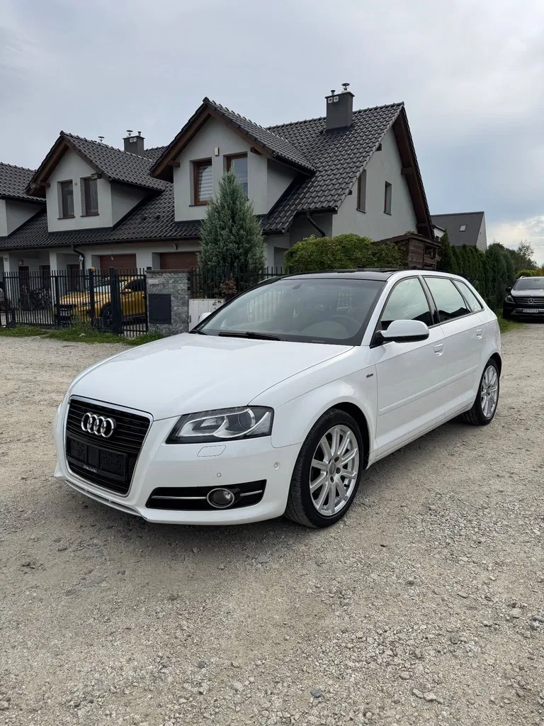 Zdjęcie: 2010 Audi A3 Sportback