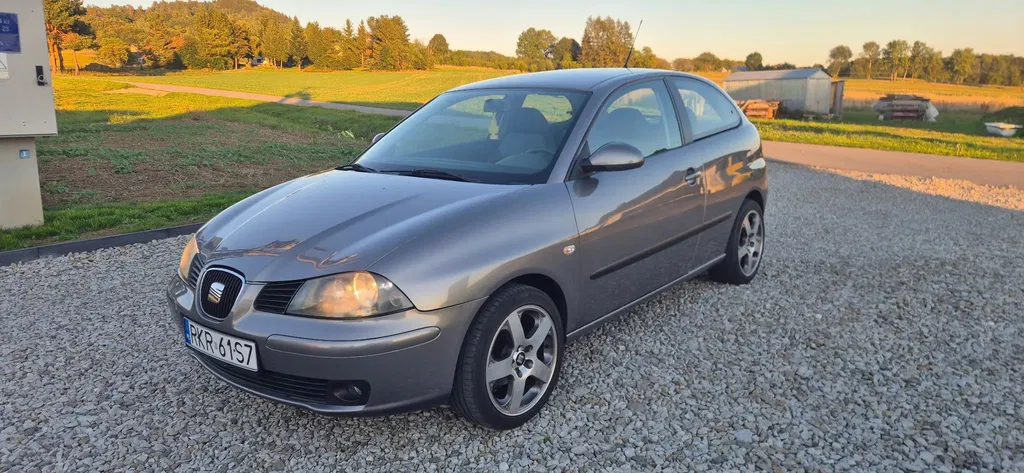 Zdjęcie: 2005 Seat Ibiza