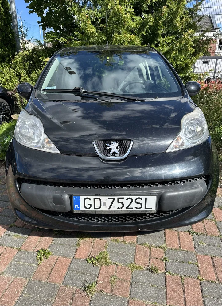 Zdjęcie: 2007 Peugeot 107