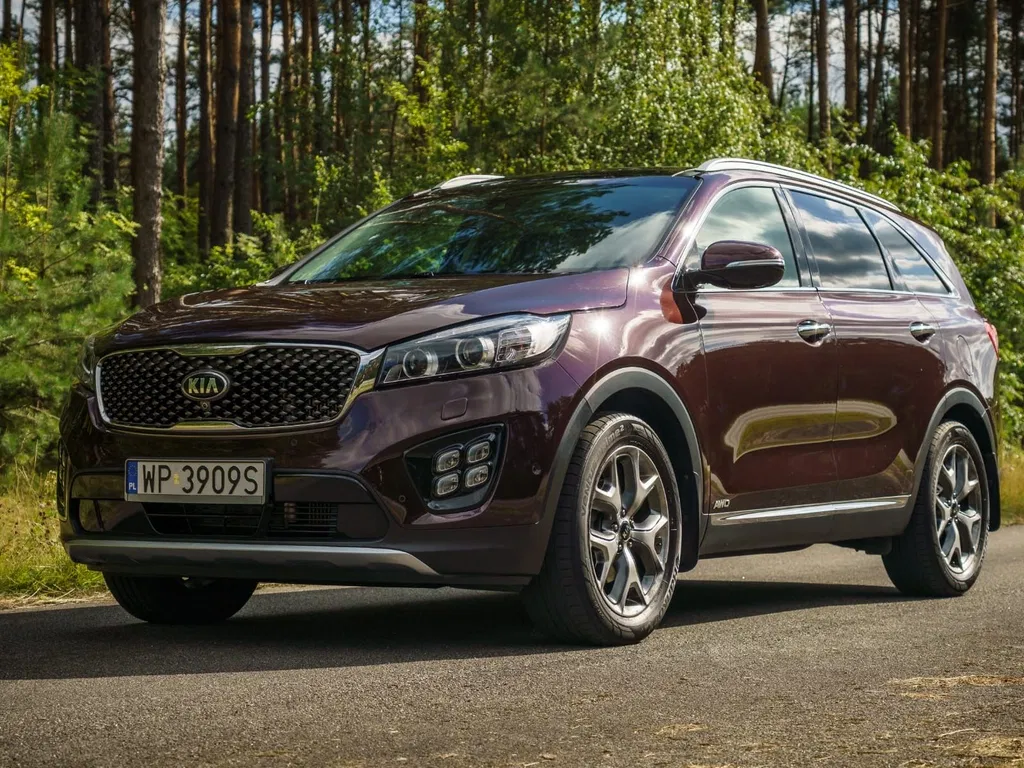 Zdjęcie: 2017 Kia Sorento