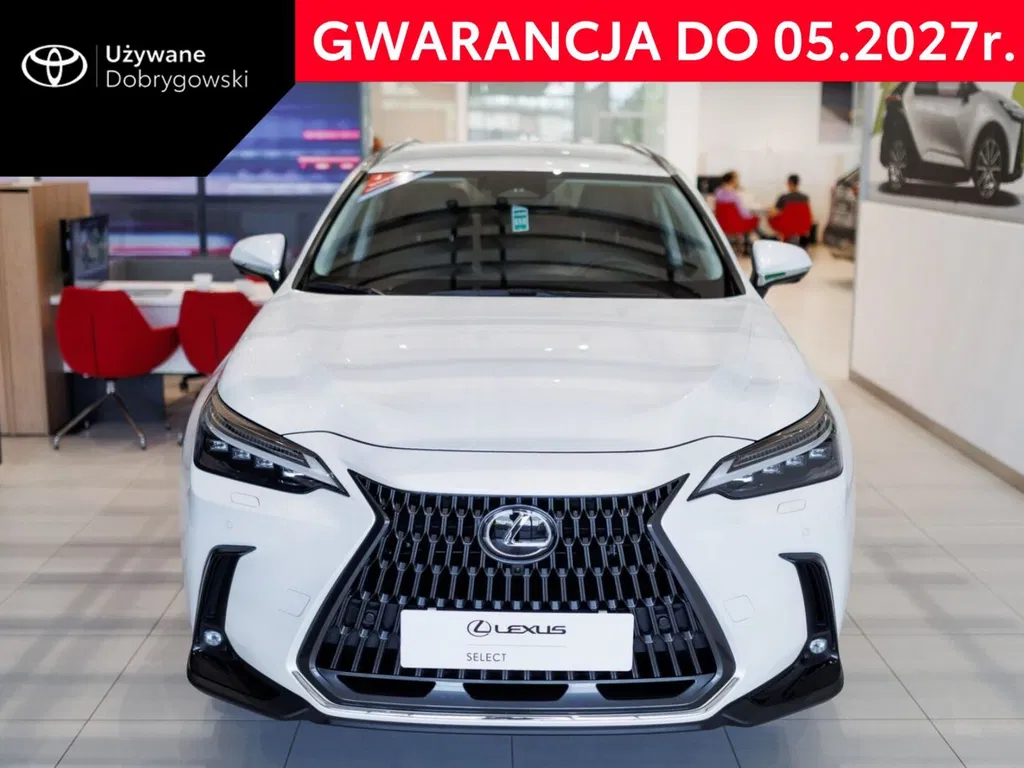 Zdjęcie: 2024 Lexus NX