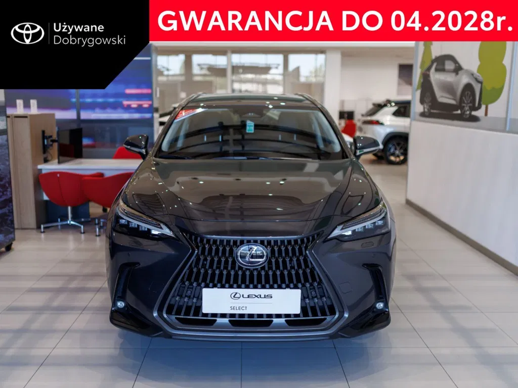 Zdjęcie: 2025 Lexus NX