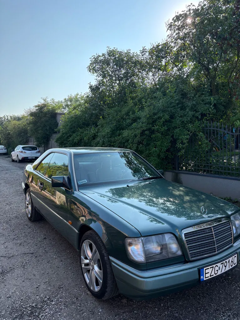 Zdjęcie: 1993 Mercedes-Benz W124