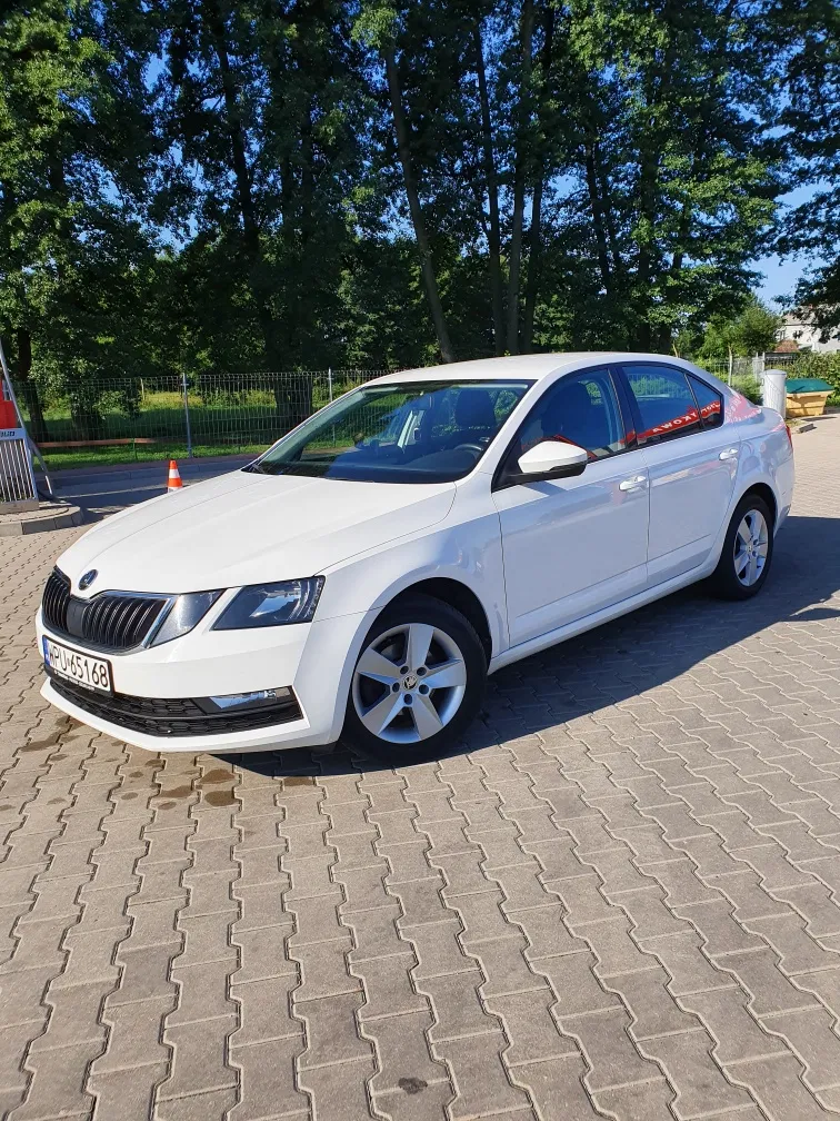Zdjęcie: 2019 Skoda Octavia