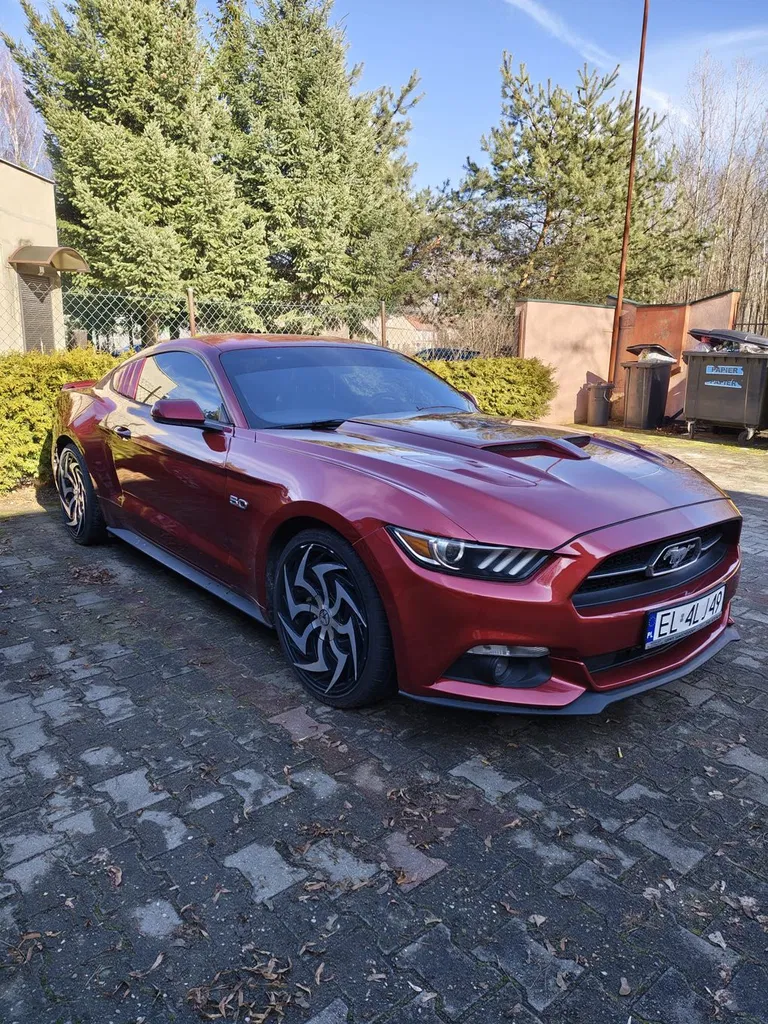Zdjęcie: 2015 Ford Mustang
