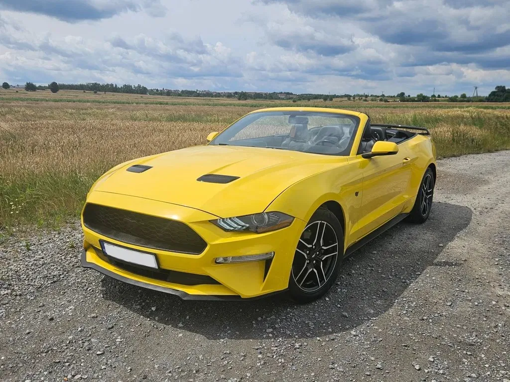 Zdjęcie: 2018 Ford Mustang