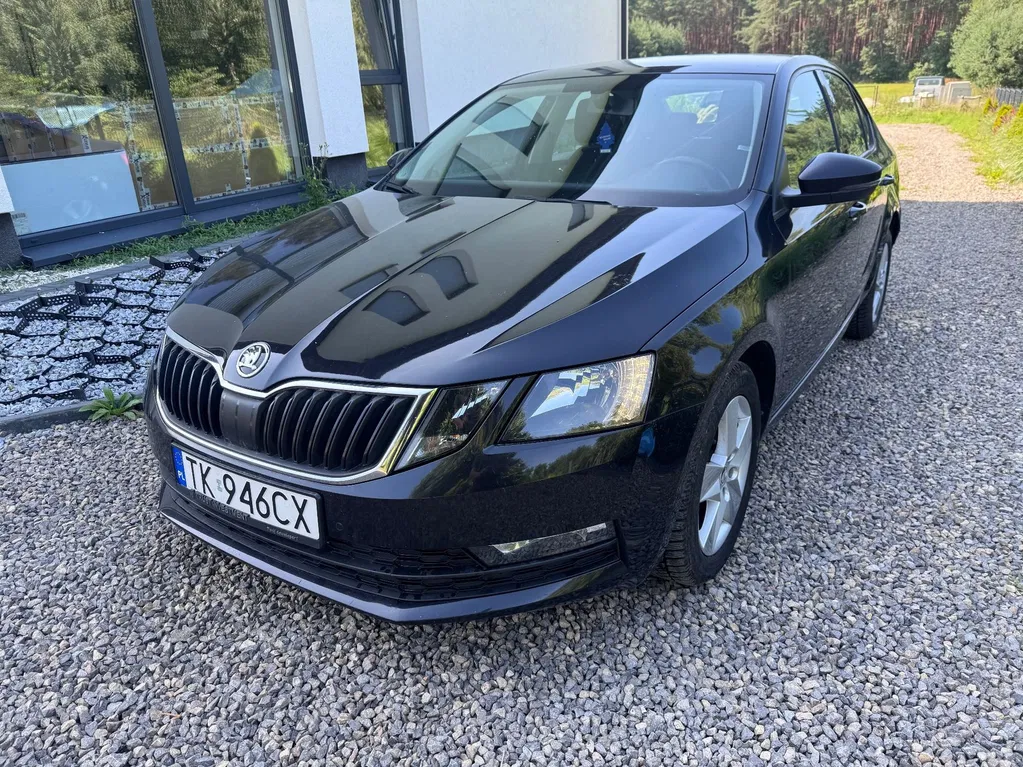 Zdjęcie: 2019 Skoda Octavia