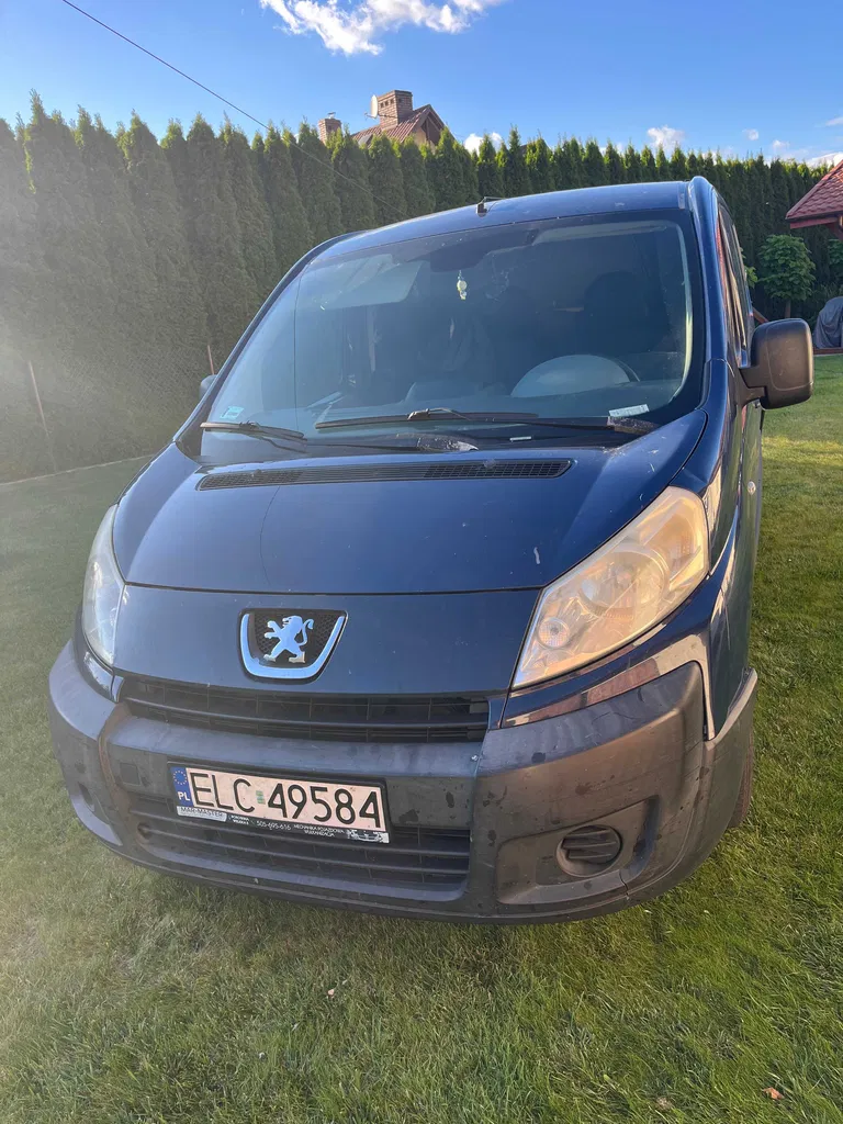 Zdjęcie: 2007 Peugeot Pozostałe Peugeot