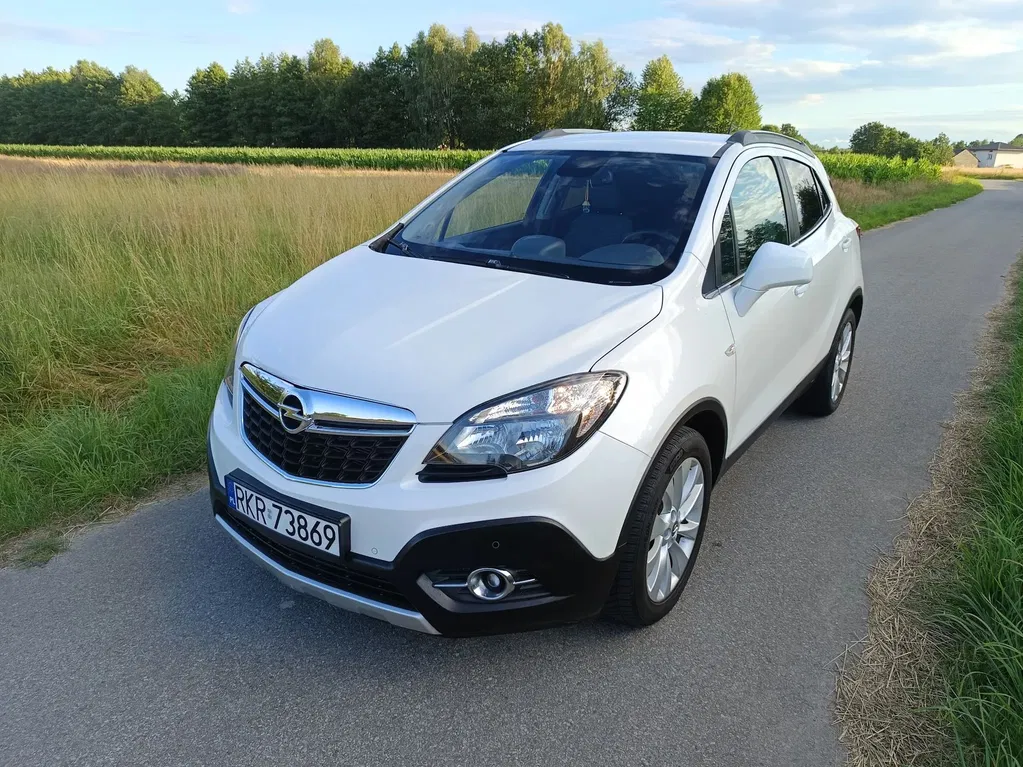 Zdjęcie: 2014 Opel Mokka