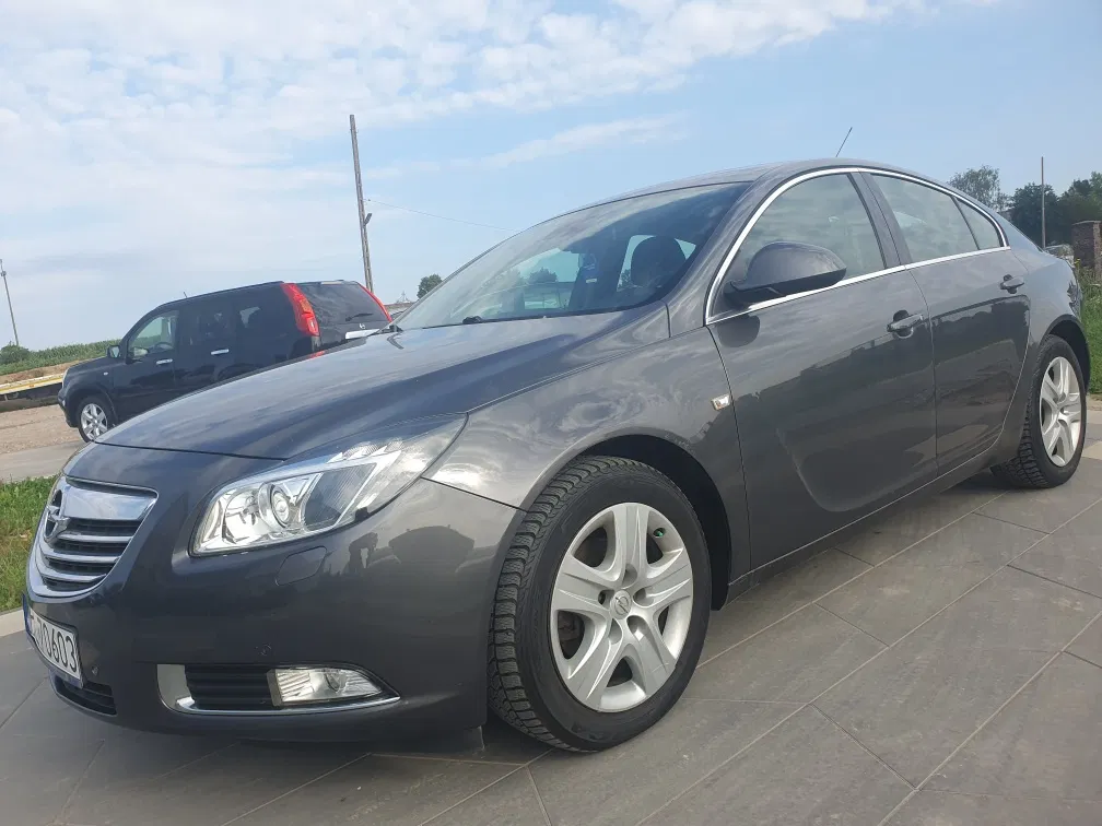 Zdjęcie: 2010 Opel Insignia