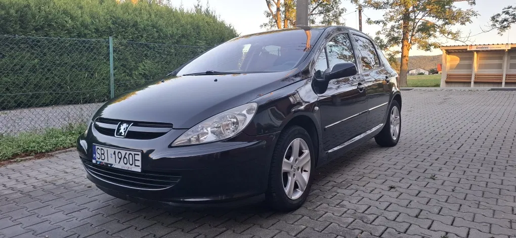 Zdjęcie: 2003 Peugeot 307