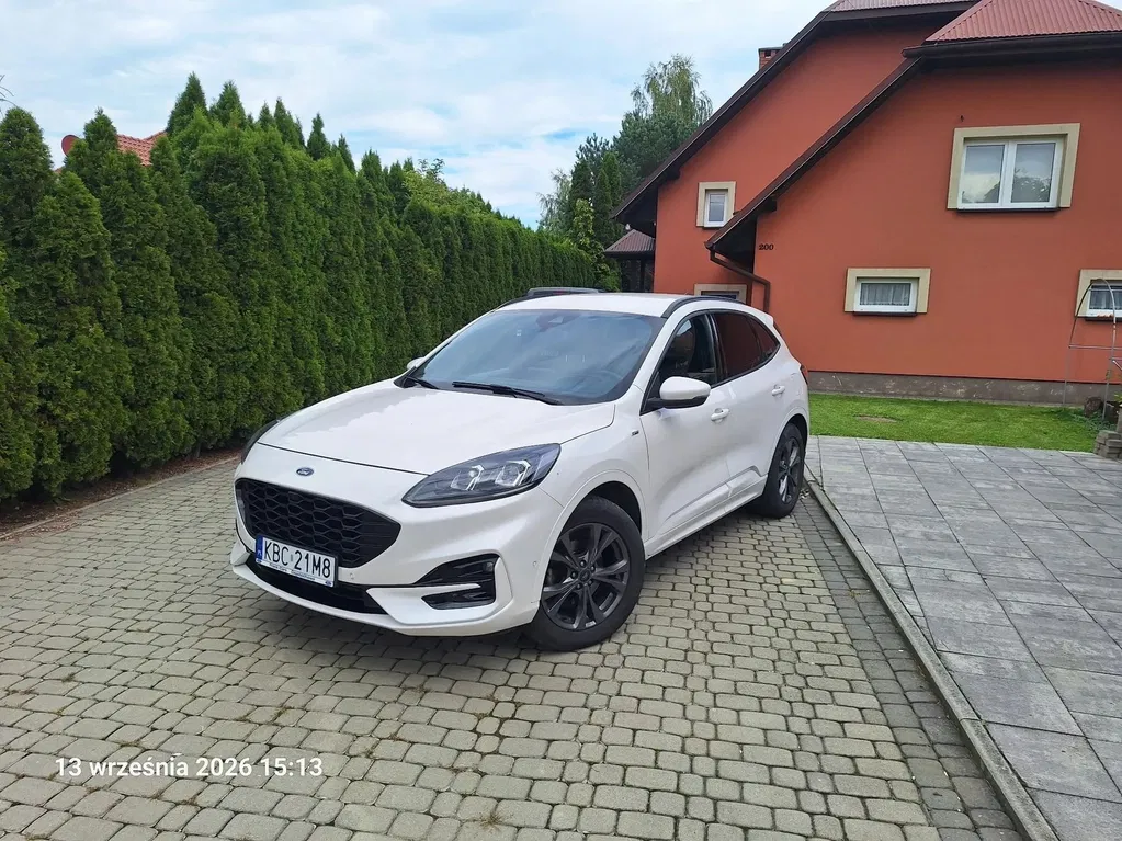 Zdjęcie: 2020 Ford Kuga
