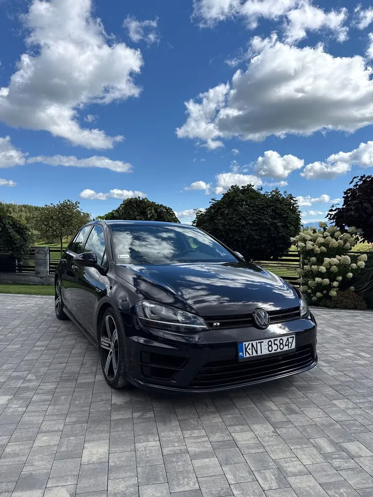 Zdjęcie: 2016 Volkswagen Golf