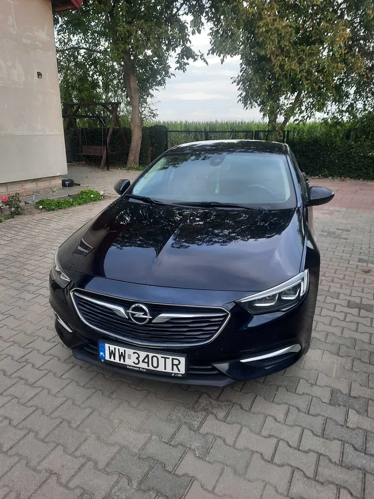 Zdjęcie: 2019 Opel Pozostałe Opel