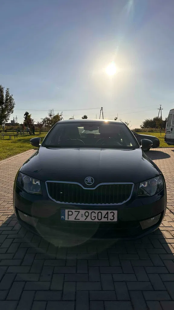Zdjęcie: 2016 Skoda Octavia