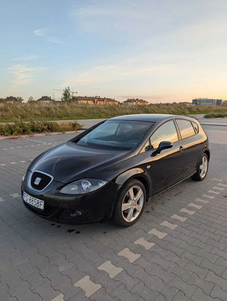 Zdjęcie: 2007 Seat Leon